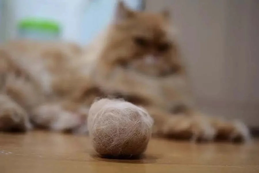 Why Do Cats Vomit Hairballs?