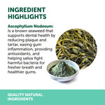 将图片加载到图库查看器，NAS Dental Powder 80G
