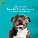 Load image into Gallery viewer, PAW DigestiCare Pre &amp; Probiotic Powder for Dogs &amp; Cats 143g
