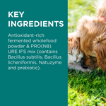 Load image into Gallery viewer, PAW DigestiCare Pre &amp; Probiotic Powder for Dogs &amp; Cats 143g
