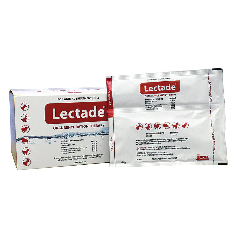 Lectade Sachet 64g