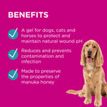 Load image into Gallery viewer, PAW Manuka Wound Gel 25g
