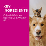 Load image into Gallery viewer, PAW Nutriderm Shampoo 500ML
