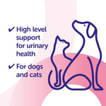 Load image into Gallery viewer, Cystopro Urinary Supplement for dogs and cats 30 capsules

