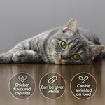 Load image into Gallery viewer, Cystophan Urinary Supplement for Cats 30 capsules
