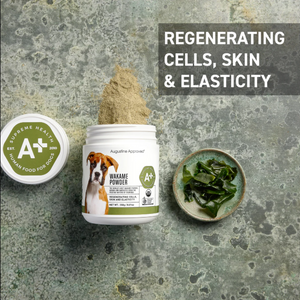 Augustine Approved Wakame Powder 250g (100% certified organic)