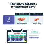Load image into Gallery viewer, Antinol Plus Cat (60 Capsules)
