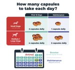 将图片加载到图库查看器，Antinol Plus 720 Capsules – Joint &amp; Skin Supplement for Dogs &amp; Cats
