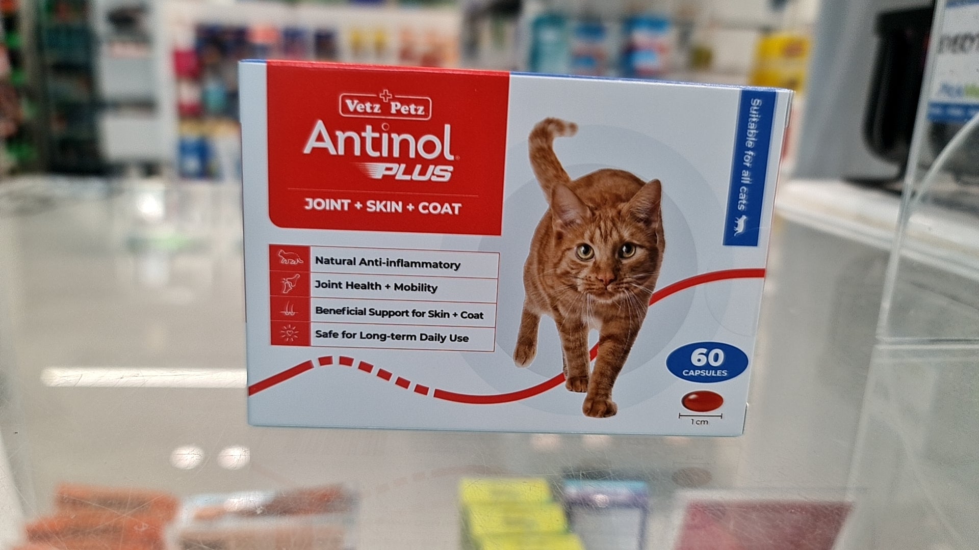 Antinol Plus Cat