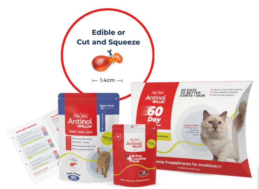 Antinol 60-day Starter Pack – Cat (Easy-Feed Capsules)
