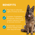 Load image into Gallery viewer, PAW Complete Calm Chews 300g (60 Chews)
