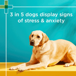 Load image into Gallery viewer, PAW Complete Calm Chews 300g (60 Chews)
