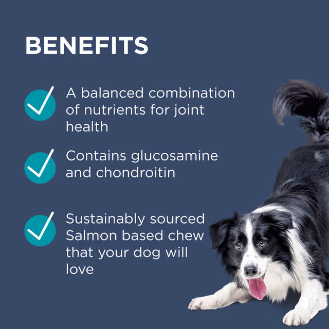 Osteocare Joint Protect Chews for Dogs