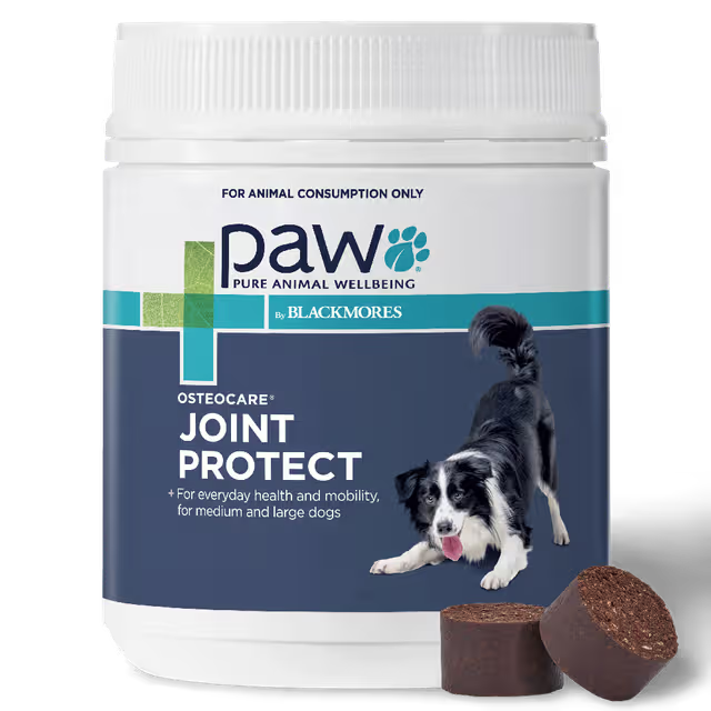 Osteocare Joint Protect Chews for Dogs