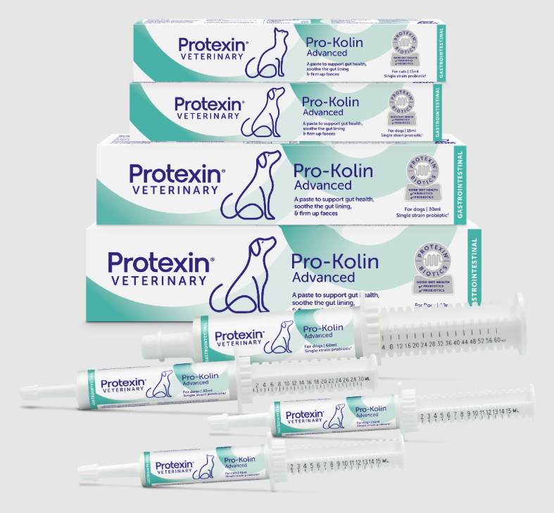Pro-Kolin + Probiotc 犬猫止泻膏
